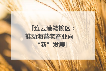 连云港赣榆区：推动海苔老产业向“新”发展