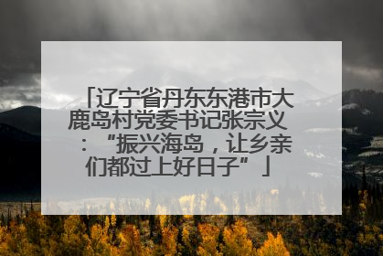 辽宁省丹东东港市大鹿岛村党委书记张宗义：“振兴海岛，让乡亲们都过上好日子”