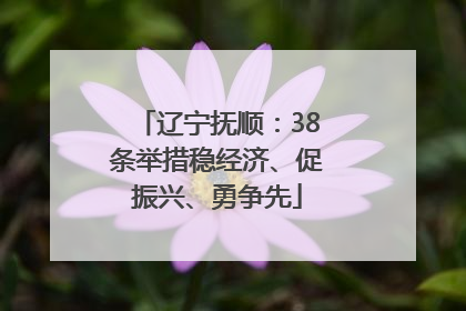 辽宁抚顺：38条举措稳经济、促振兴、勇争先