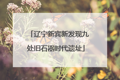 辽宁新宾新发现九处旧石器时代遗址