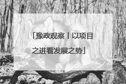 豫政观察丨以项目之进看发展之势