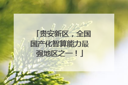 贵安新区，全国国产化智算能力最强地区之一！