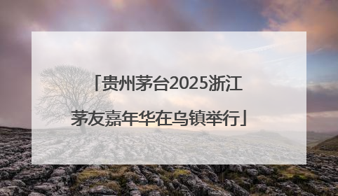 贵州茅台2025浙江茅友嘉年华在乌镇举行