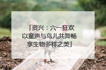 资兴：六一狂欢 以童声与鸟儿共舞畅享生物多样之美