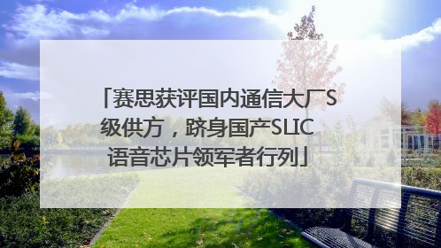 赛思获评国内通信大厂S级供方，跻身国产SLIC语音芯片领军者行列