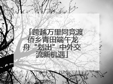 跨越万里同竞渡 侨乡青田端午龙舟“划出”中外交流新机遇