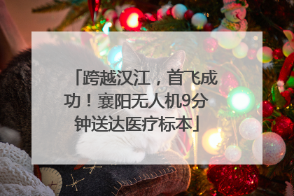 跨越汉江，首飞成功！襄阳无人机9分钟送达医疗标本