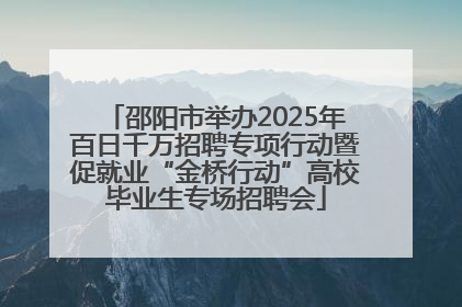邵阳市举办2025年百日千万招聘专项行动暨促就业“金桥行动”高校毕业生专场招聘会