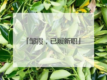邹霞，已履新职