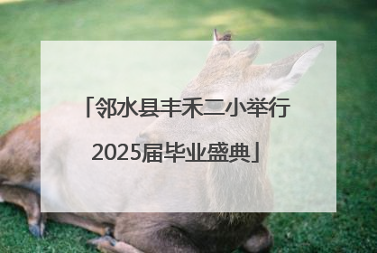 邻水县丰禾二小举行2025届毕业盛典