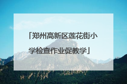 郑州高新区莲花街小学检查作业促教学