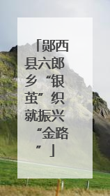 郧西县六郎乡“银茧”织就振兴“金路”