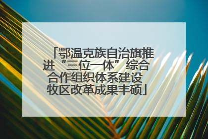 鄂温克族自治旗推进“三位一体”综合合作组织体系建设 牧区改革成果丰硕