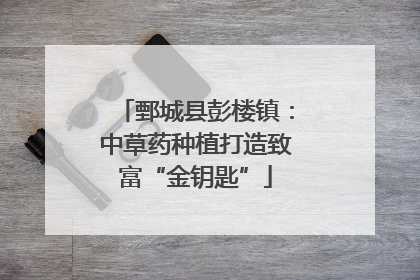 鄄城县彭楼镇：中草药种植打造致富“金钥匙”