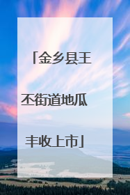 金乡县王丕街道地瓜丰收上市
