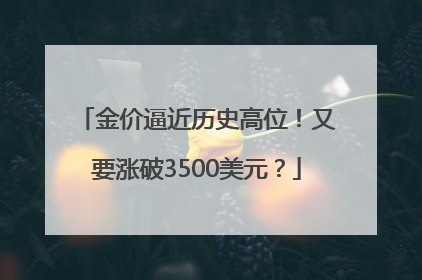 金价逼近历史高位！又要涨破3500美元？