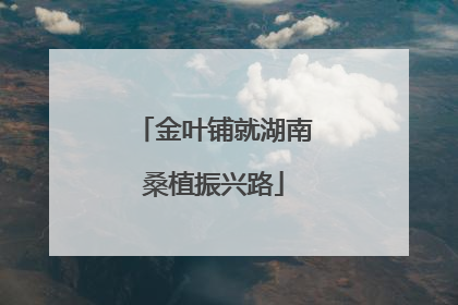 金叶铺就湖南桑植振兴路