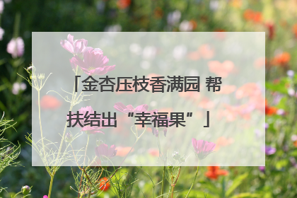 金杏压枝香满园 帮扶结出“幸福果”