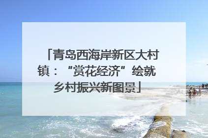 青岛西海岸新区大村镇：“赏花经济”绘就乡村振兴新图景