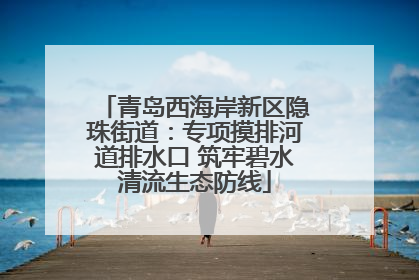 青岛西海岸新区隐珠街道：专项摸排河道排水口 筑牢碧水清流生态防线