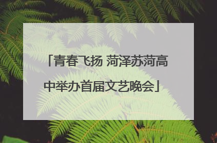 青春飞扬 菏泽苏菏高中举办首届文艺晚会