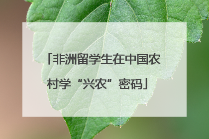 非洲留学生在中国农村学“兴农”密码