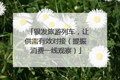银发旅游列车，让供需有效对接（提振消费一线观察）