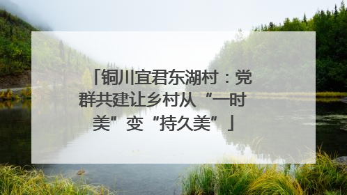 铜川宜君东湖村：党群共建让乡村从“一时美”变“持久美”