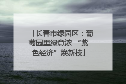 长春市绿园区：葡萄园里绿意浓 “紫色经济”焕新枝