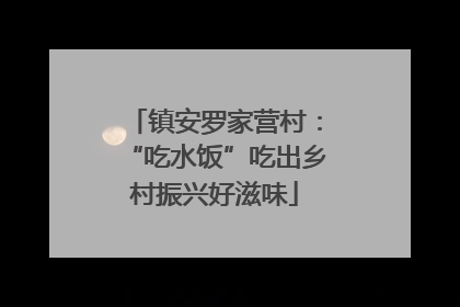 镇安罗家营村：“吃水饭”吃出乡村振兴好滋味