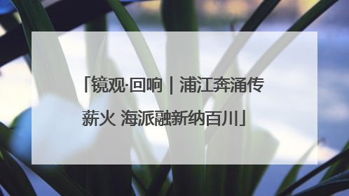 镜观·回响｜浦江奔涌传薪火 海派融新纳百川