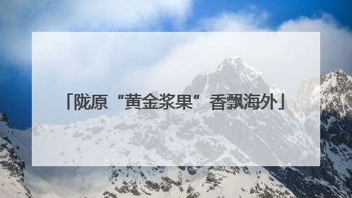 陇原“黄金浆果”香飘海外