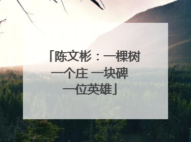 陈文彬：一棵树 一个庄 一块碑 一位英雄