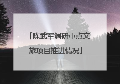 陈武军调研重点文旅项目推进情况