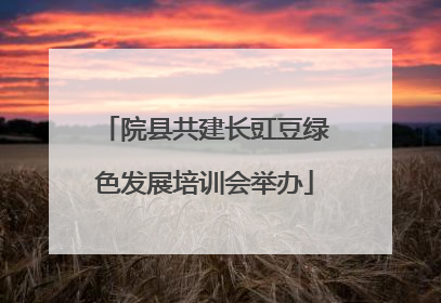 院县共建长豇豆绿色发展培训会举办