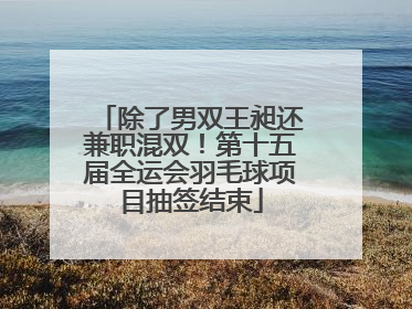 除了男双王昶还兼职混双！第十五届全运会羽毛球项目抽签结束