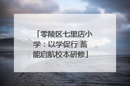 零陵区七里店小学：以学促行 蓄能启航校本研修
