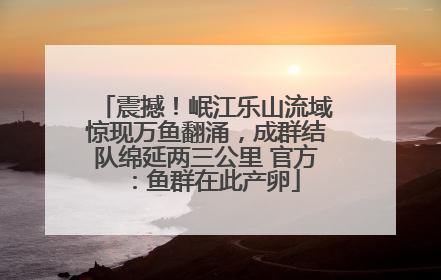 震撼！岷江乐山流域惊现万鱼翻涌，成群结队绵延两三公里 官方：鱼群在此产卵