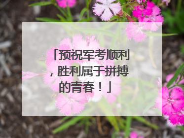 预祝军考顺利，胜利属于拼搏的青春！