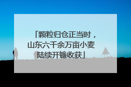 颗粒归仓正当时，山东六千余万亩小麦陆续开镰收获