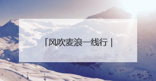 风吹麦浪一线行｜廊坊“三夏”大规模小麦机收全面开始