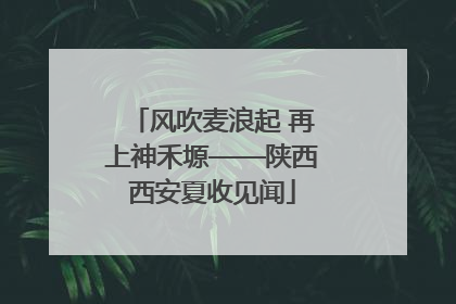 风吹麦浪起 再上神禾塬——陕西西安夏收见闻