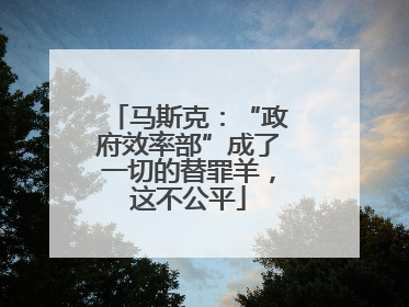 马斯克：“政府效率部”成了一切的替罪羊，这不公平
