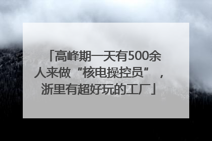 高峰期一天有500余人来做“核电操控员”，浙里有超好玩的工厂