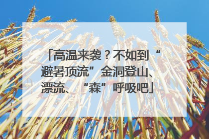 高温来袭？不如到“避暑顶流”金洞登山、漂流、“森”呼吸吧