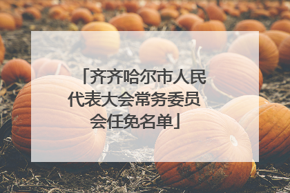 齐齐哈尔市人民代表大会常务委员会任免名单