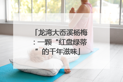 龙湾大岙溪杨梅：一颗“红盘绿蒂”的千年滋味