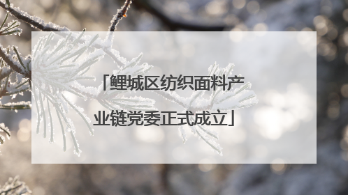 鲤城区纺织面料产业链党委正式成立