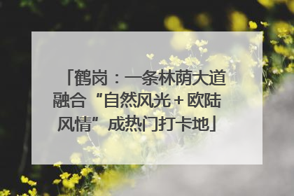 鹤岗：一条林荫大道融合“自然风光＋欧陆风情”成热门打卡地