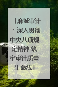 麻城审计：深入贯彻中央八项规定精神 筑牢审计质量生命线